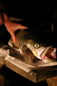 fish cut